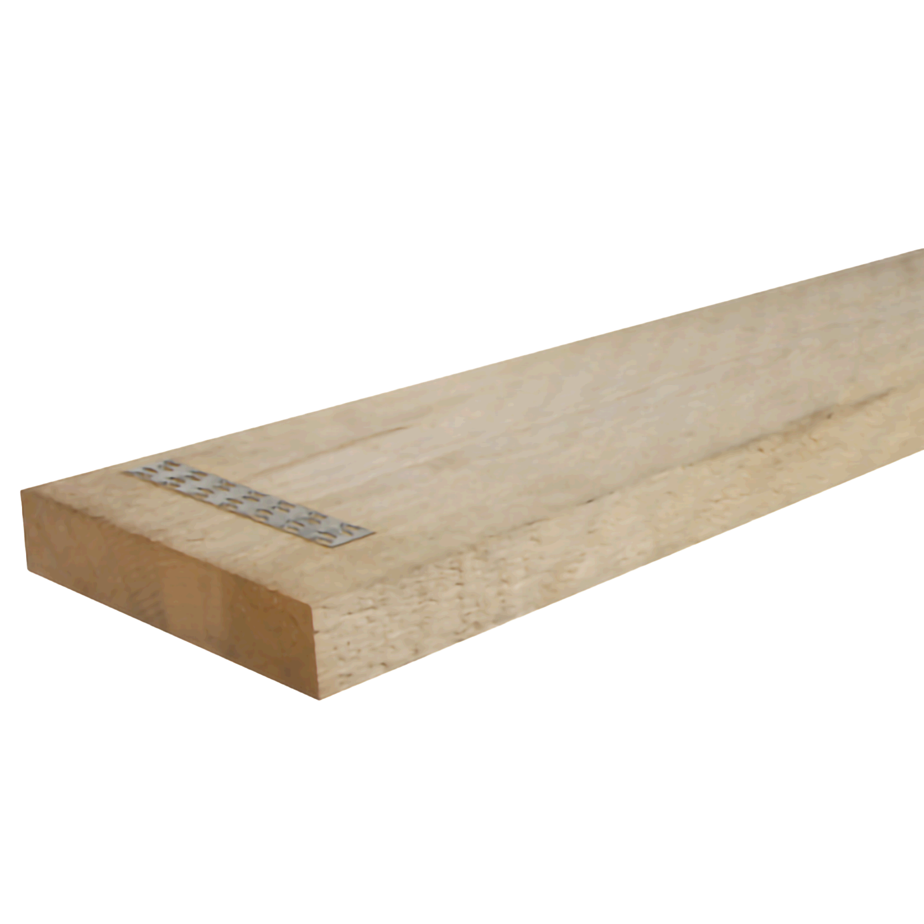 Scaffold plank 12 ft x 10 in