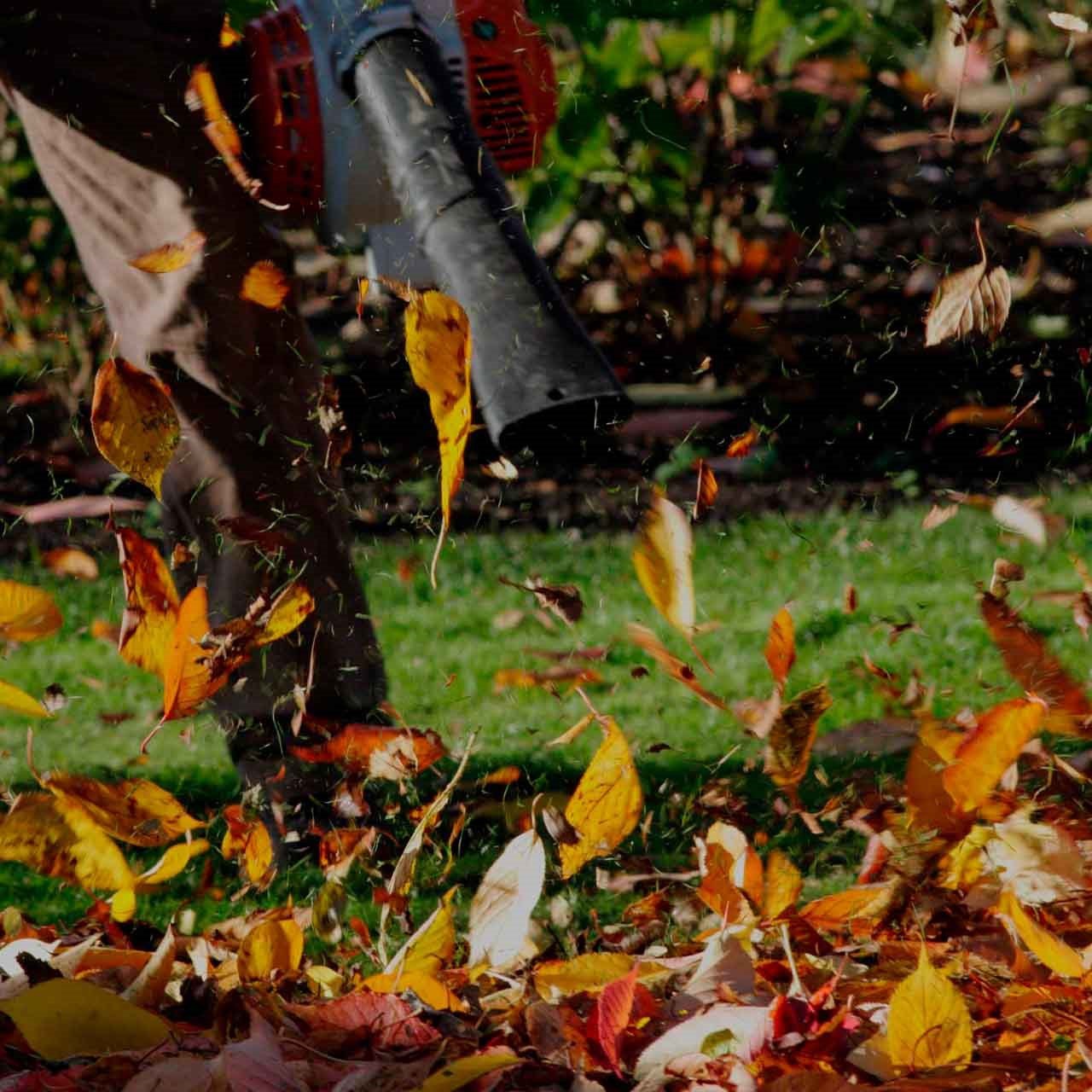 Souffleur en action, nettoyant efficacement un jardin en soufflant les feuilles - Explorez notre gamme de location pour l'entretien paysager.